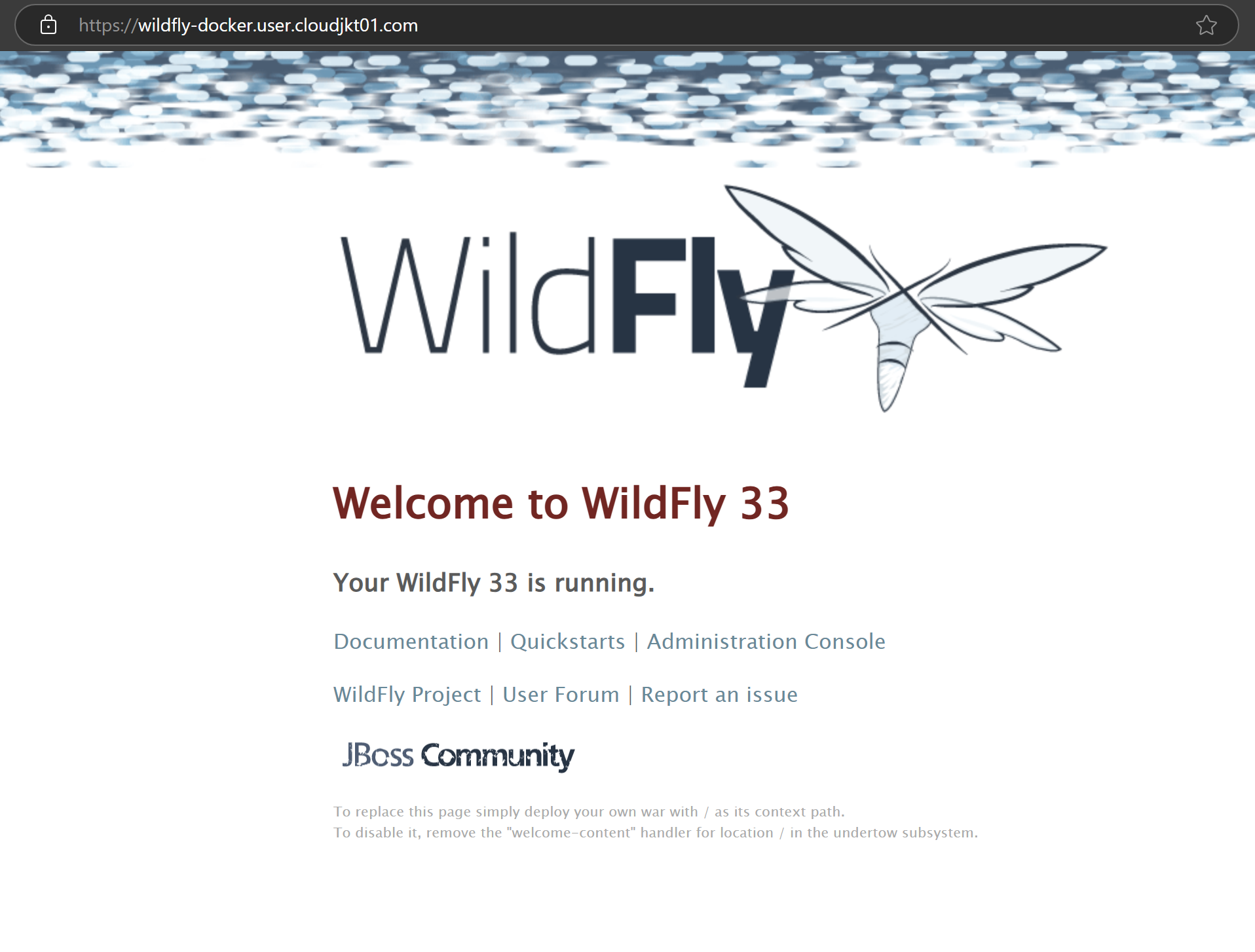 custom WildFly home page