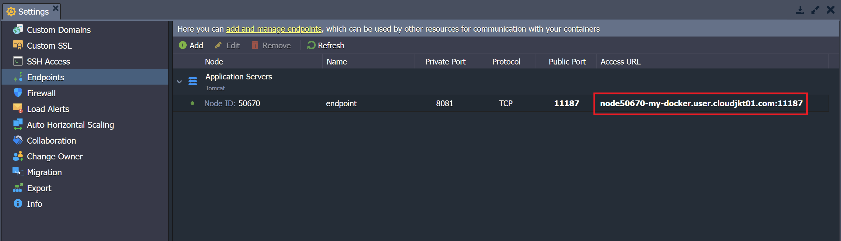 container endpoints