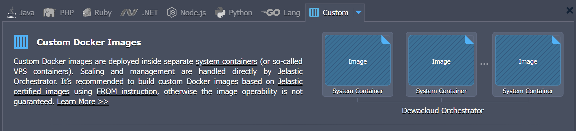 PaaS custom container images