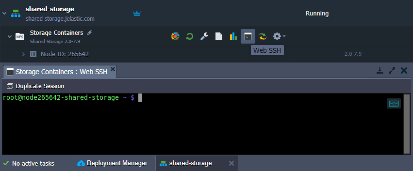 Web SSH connection to storage