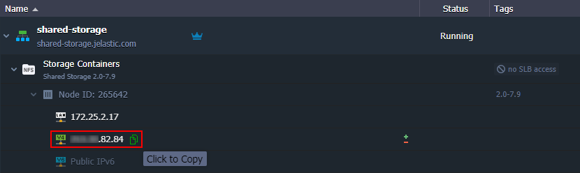 storage public IP