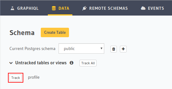 working in Hasura admin panel