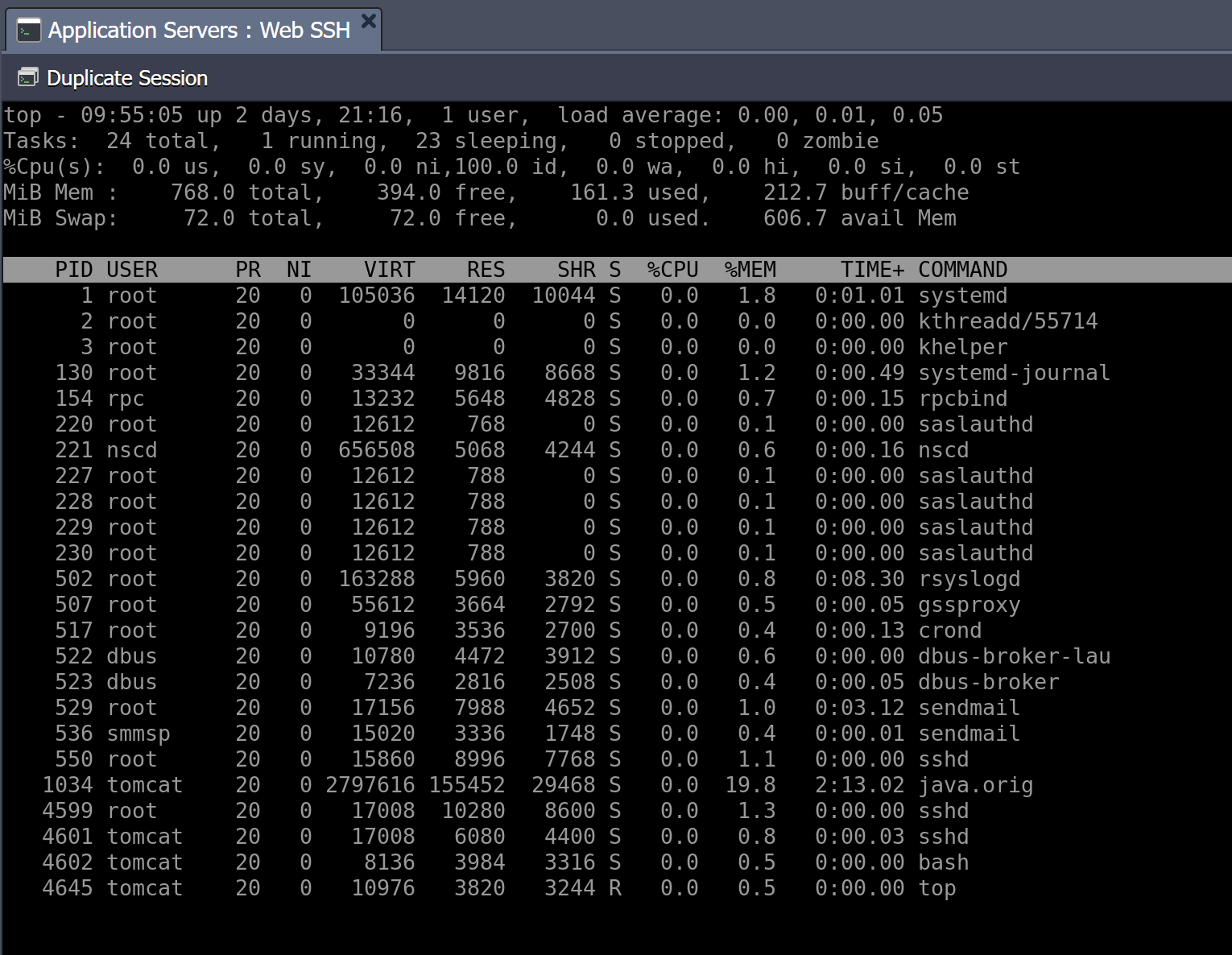 web ssh tasks