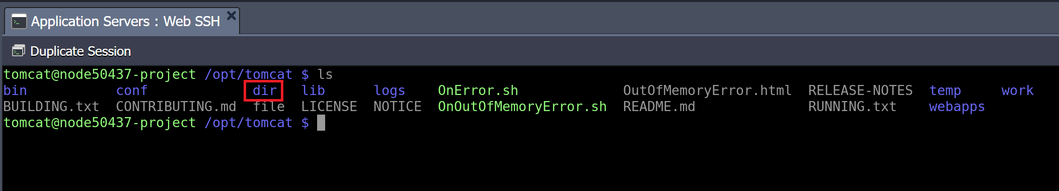 Out of memory error