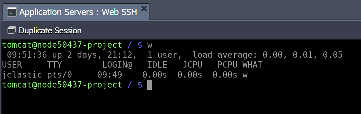 Web SSH Jelastic