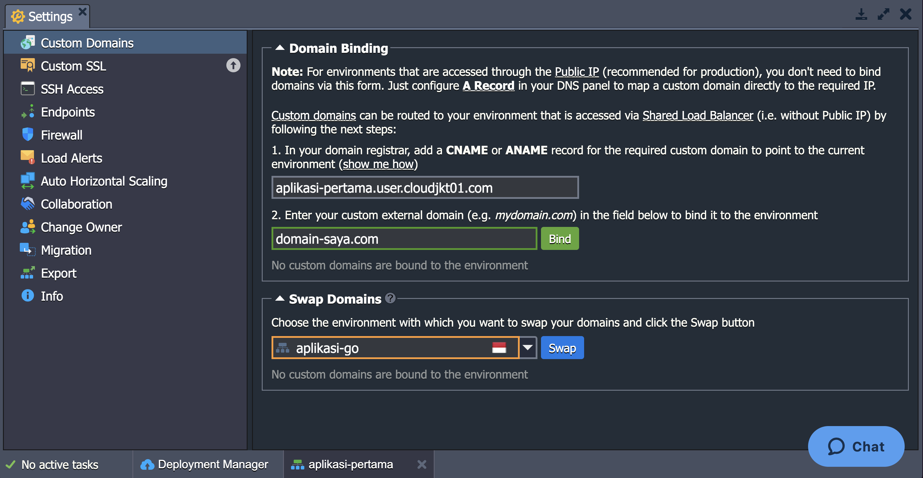 custom domains settings